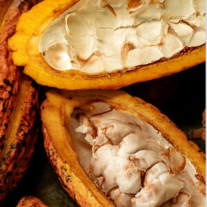 LA FINCA DE CACAO