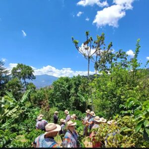 LA FINCA CAFETERA